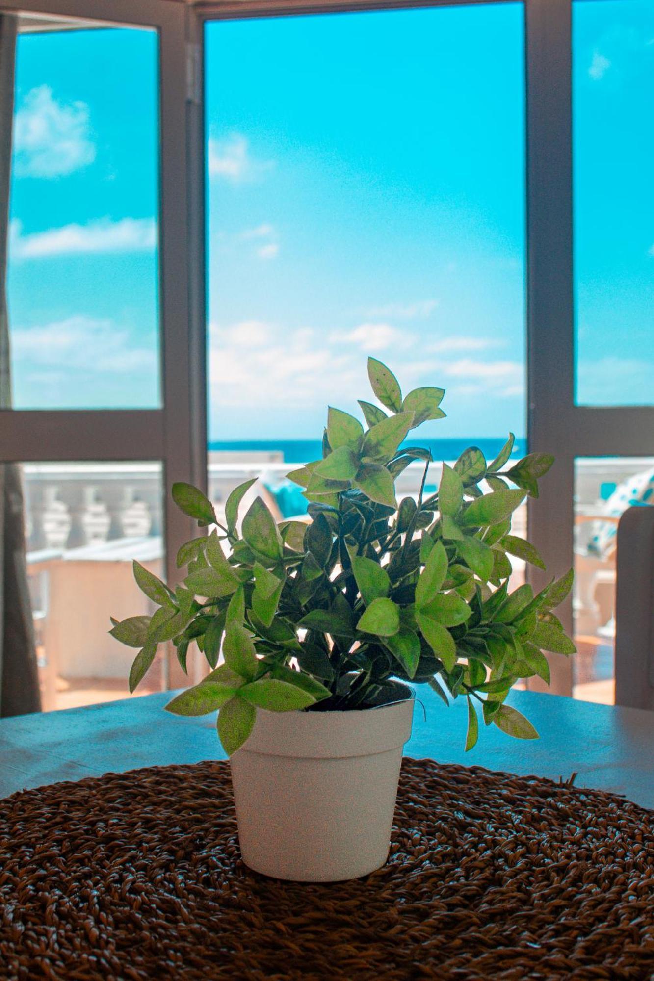 Vista Mar - Seafront Holiday Apartments Santa Maria Extérieur photo